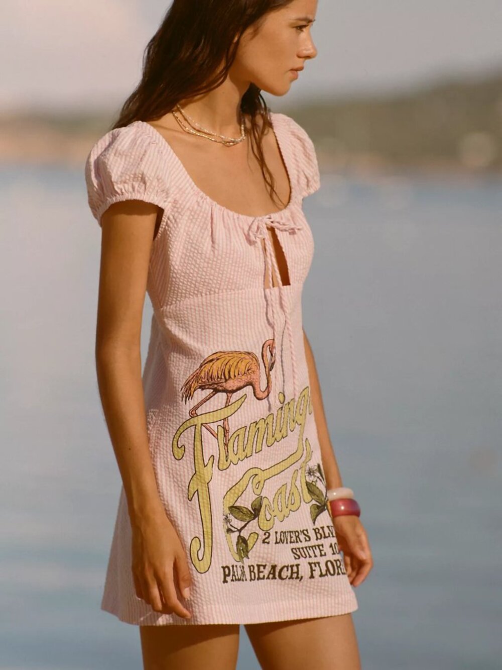NWT Anthropologie Celandine Scoop-Neck Pink Stripe Mini Dress